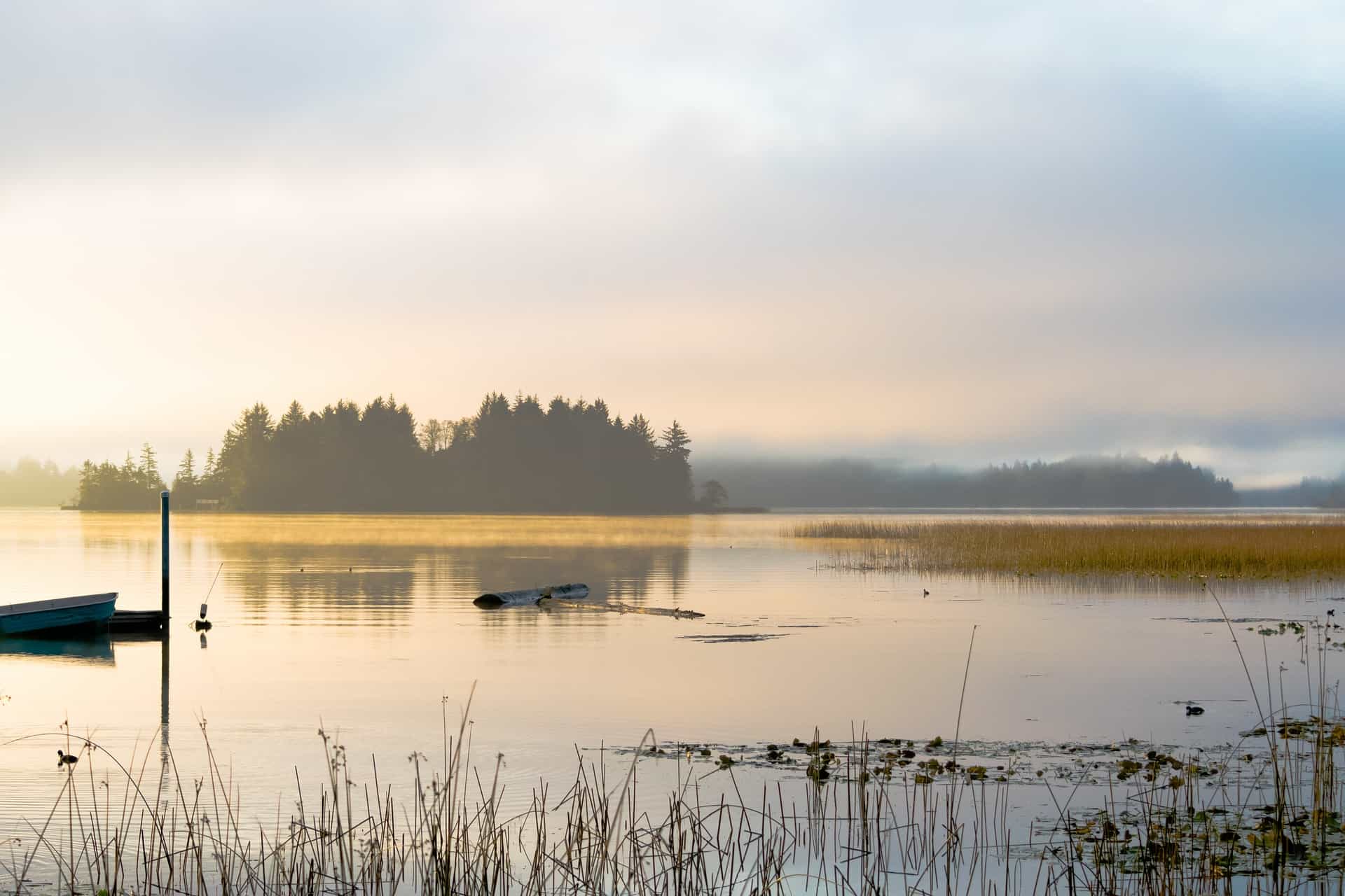 Forrás: pixabay.com