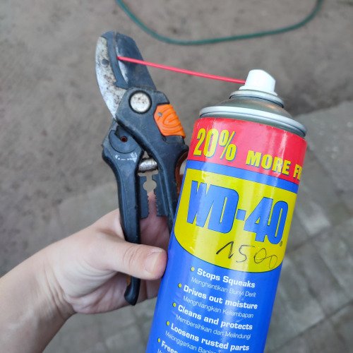 Rozsdás metszőolló elleni küzdelem