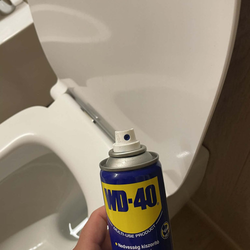 Szoruló WC zsanér javítás