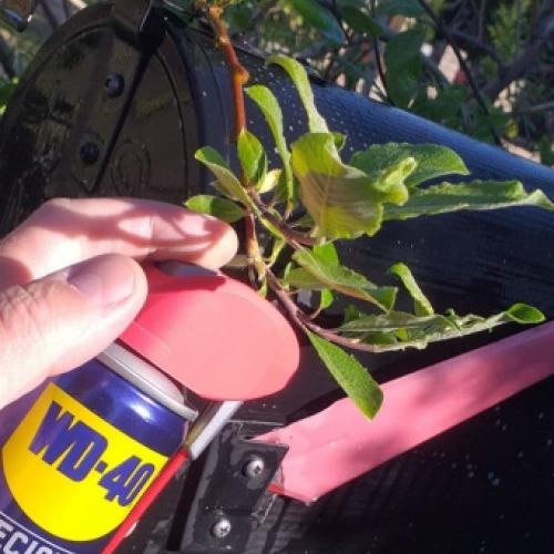Postaláda fül wd40
