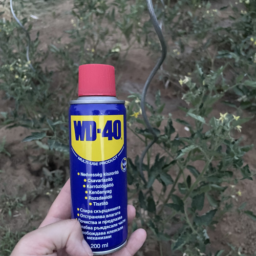 Paradicsomkaró karbantartás WD40-el